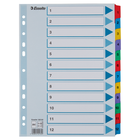 Register Mylar karton A4 1-12