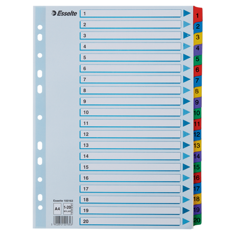 Register Mylar karton A4 1-20