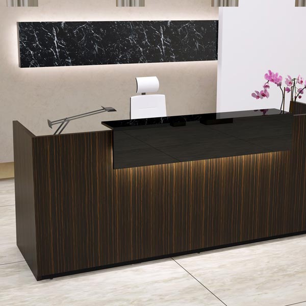 Reception DNA LED belysning med fjernbetjening – image 1