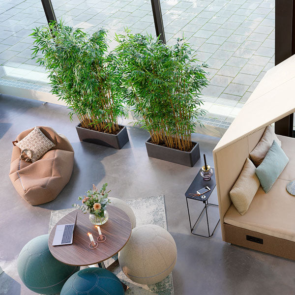 Bambus Høj – image 4