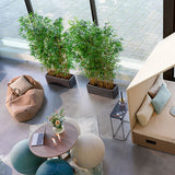 Bambus Høj – image 4