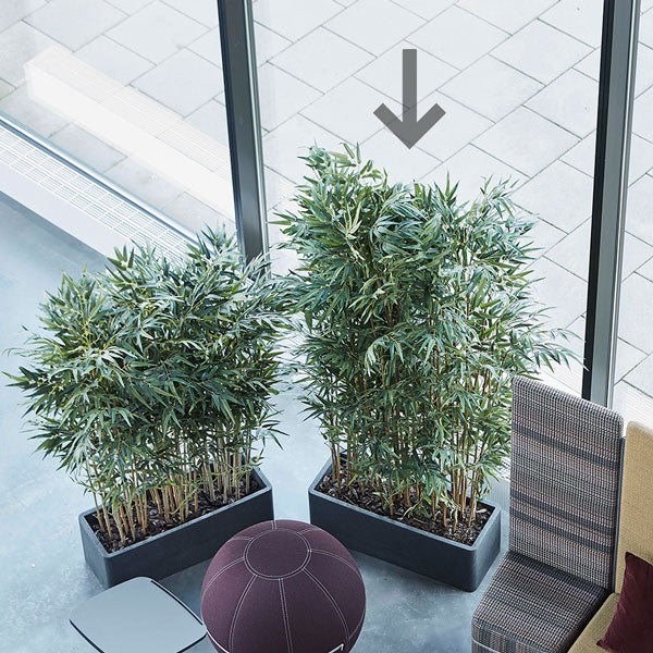 Götessons Bambus Høj – Kunstige planter (billede 2)