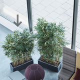 Götessons Bambus Lav – Kunstige planter (billede 2)