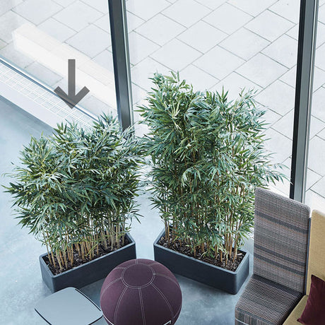 Götessons Bambus Lav – Kunstige planter (billede 2)