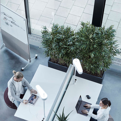 Götessons Bambus Lav – Kunstige planter (billede 3)