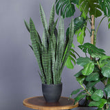 Svigermors tunge, kunstig plante – image 3