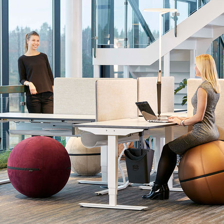 Siddebold Office Ballz, Stor Prisgr. 1 – image 1