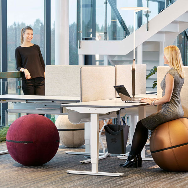 Siddebold Office Ballz, Stor Prisgr. 1 – image 1