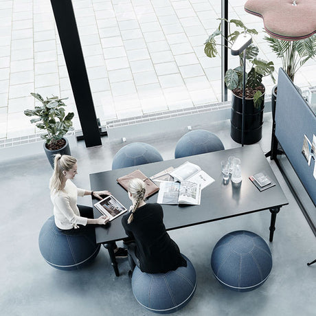 Siddebold Office Ballz, Lille Prisgr. 4