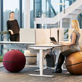 Siddebold Office Ballz, Lille Prisgr. 3