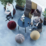 Siddebold Office Ballz, Lille Prisgr. 2