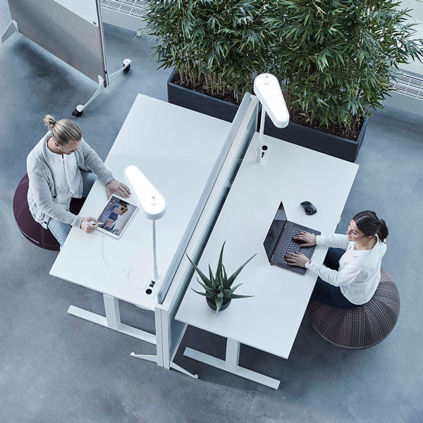 Siddebold Office Ballz, Lille Prisgr. 1 – image 1