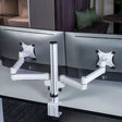 Götessons Skærmholder V4 Twin, Hvid – Skærm- og laptoptilbehør (billede 1)