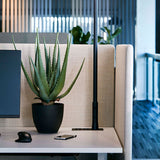 Bordskærm 650x1400 mm med søm Prisgruppe 3 – image 3