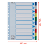 Faneblade PP A4 10-delt farvede faner