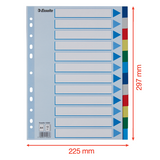 Faneblade PP A4 12-delt farvede faner