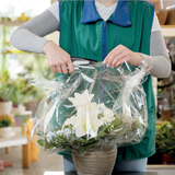 Hæftetang Eco recycle t/10ark sort