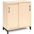 Ergoff Kontorskab DNA, 800x890 mm, Birk/Sort 2A4 – Bogreoler & kontorskabe (billede 1)