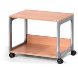 SYSTEM MULTI TROLLEY 48