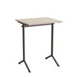 Bord Atlas 1130, 700x600mm, eg højtrykslaminat, gråt stel – image 1