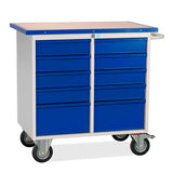 Værkstedsvogn SMV 10 skuffer, RAL9002/5005