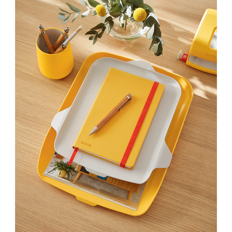 Brevbakke+organizer Cosy gul (2)