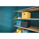 Arkivboks Click & Store Cosy Cube L blå