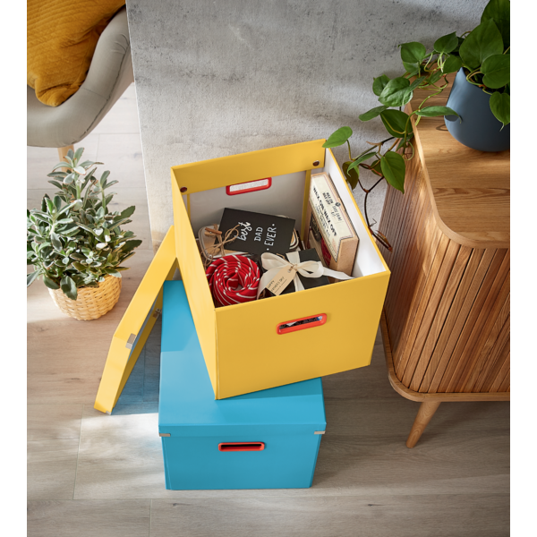 Arkivboks Click & Store Cosy Cube L blå