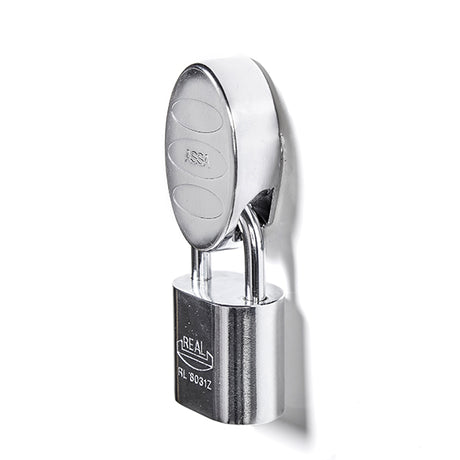 Garderobeskab 1x300 mm lige tag, 2-delt søjle Lys grå Z-dør m/greb for hængelås – image 4