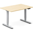 Ergoff Hæve-sænkebord DNA, Birk 1200x800 mm 2-ben/Alugrå – Hæve-sænkeborde