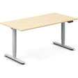 Ergoff Hæve-sænkebord DNA, Birk 1600x800 mm 2-ben/Alugrå – Hæve/sænkeborde