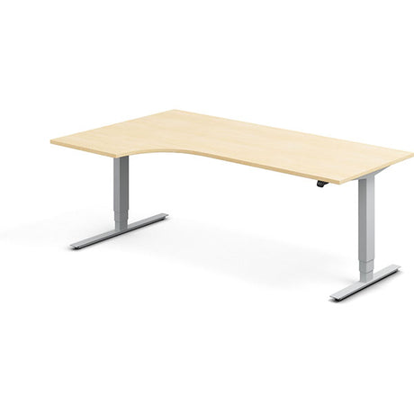 Ergoff Hæve-sænkebord DNA, Birk 2000x1200 mm Venstre 2-ben/Alugrå – Hæve/sænkeborde