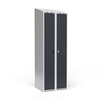 Dobbeltskab/parskab 300+300 mm Skråt tag 2-søjlet Parvis lås Antracit dør Greb for hængelås – image 1