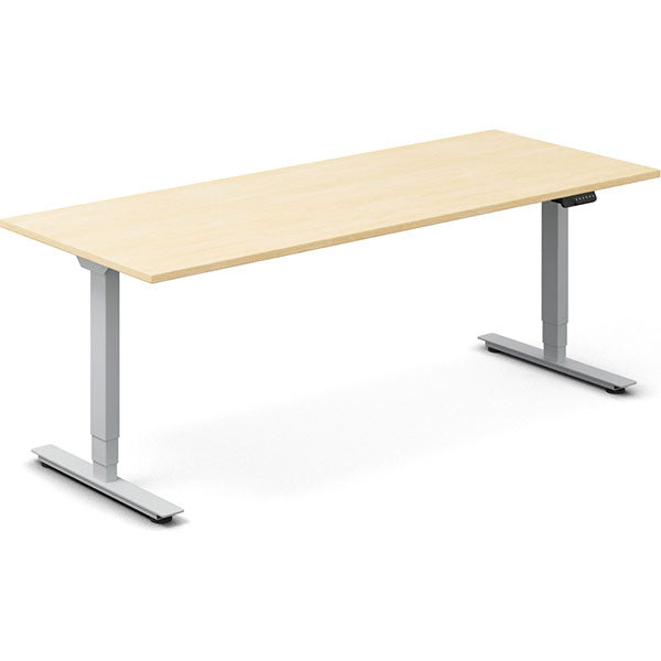Ergoff Hæve-sænkebord DNA, Birk 2000x800 mm 2-ben/Alugrå – Hæve/sænkeborde