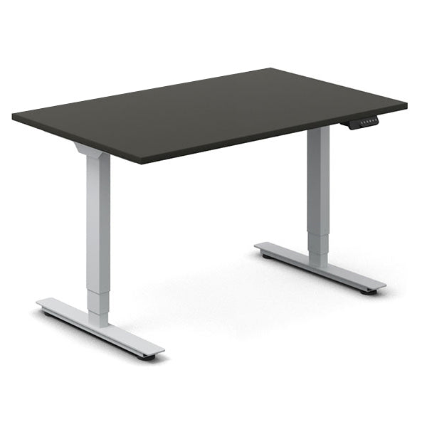 Ergoff Hæve-sænkebord DNA, Antracit 1200x800 mm 2-ben/Alugrå – Hæve/sænkeborde