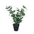 Götessons Eucalyptus, 500 mm – Kunstige planter