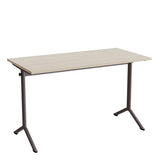 Bord Atlas 1130, 1200x600mm, lyddæmpende eg højtrykslaminat, gråt stel – image 2