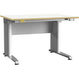 ESD-arbejdsbord ErgoMulti 1200x800 mm grå HPL
