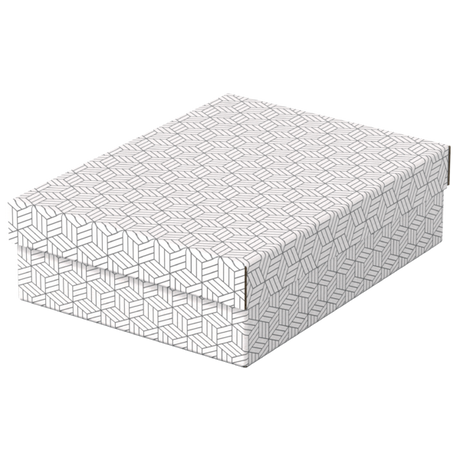 Opbevaringsboks Esselte Home M Low hvid (3)