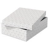 Opbevaringsboks Esselte Home M Low hvid (3)