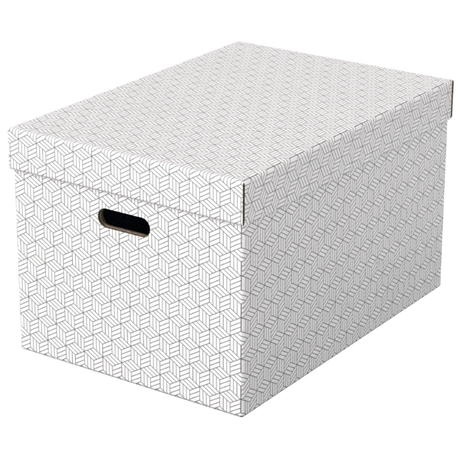 Opbevaringsboks Esselte Home L hvid (3)