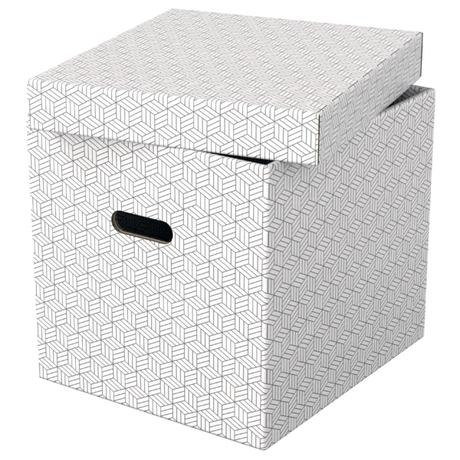 Opbevaringsboks Esselte Home Cube hvid(3)