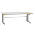 GBP ESD-arbejdsbord Bord 400 2000x800 mm grå vinyl – Arbejdsborde