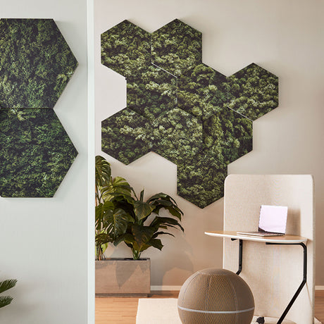 Honey Lydabsorbent 6-pk Moss – image 4