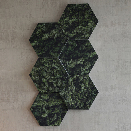 Honey Lydabsorbent 6-pk Moss – image 5