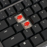 Kinesis Form KB100-W