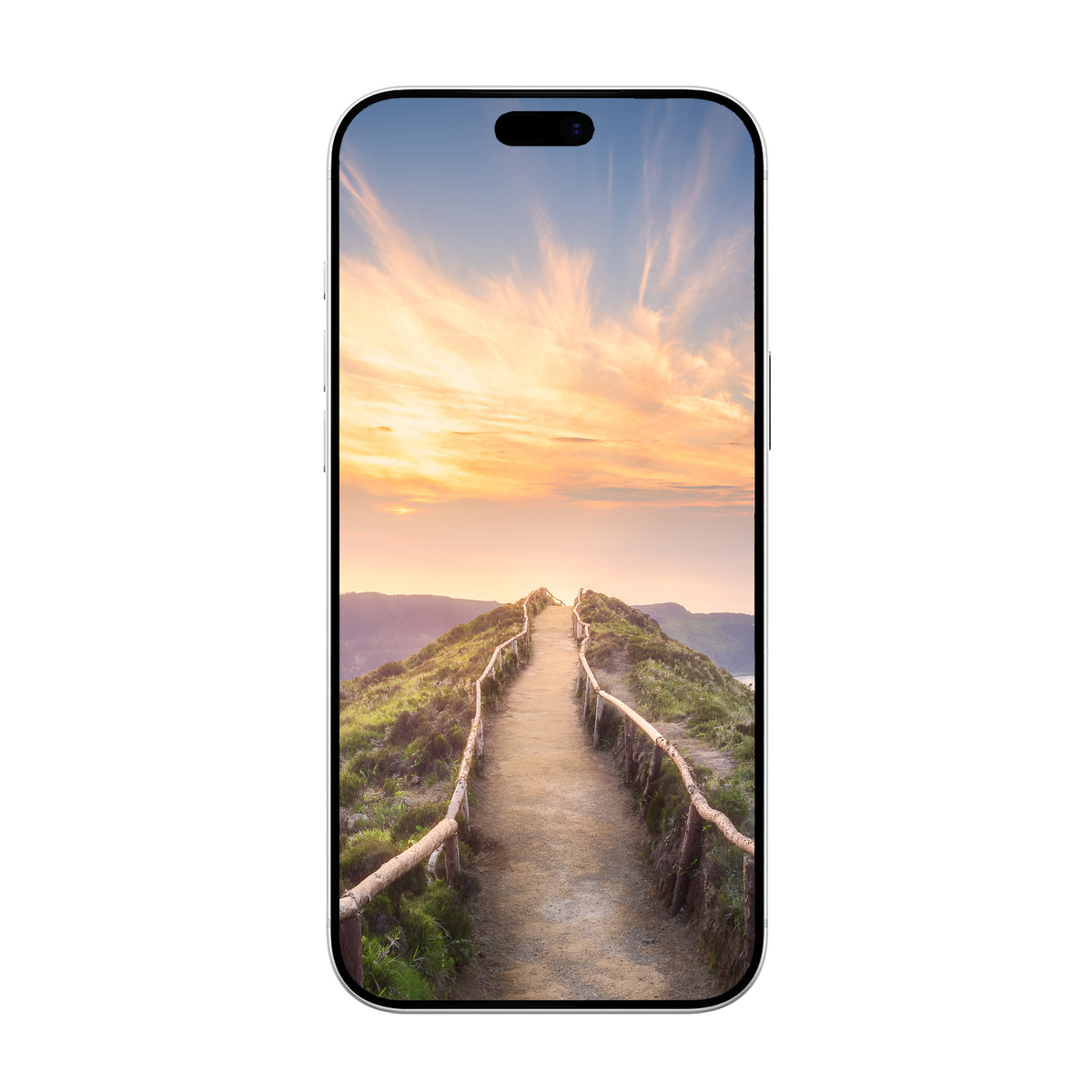 Dbramante1928 eco-shield - iPhone 18 Pro Max - Privacy (billede 2)