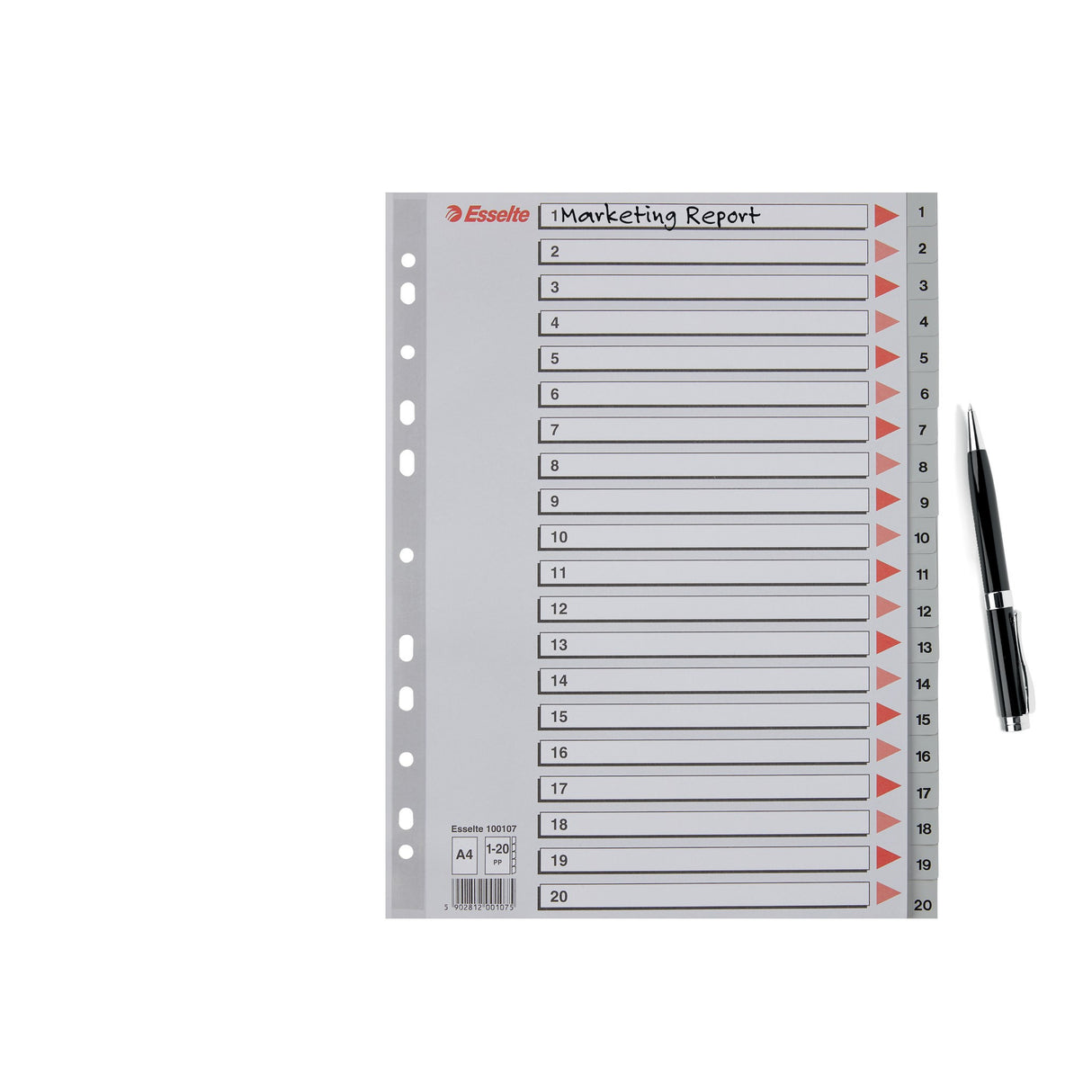 Register PP A4 1-20 grå – image 4