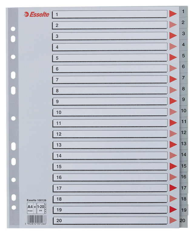 Register PP A4 maxi 1-20 grå – image 1