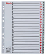 Register PP A4 maxi 1-31 grå